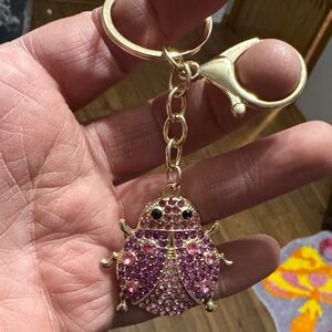 Mint Pink Ladybug Keychain